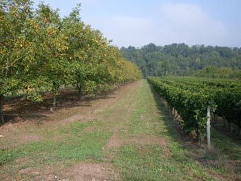 lot_canal (178).jpg